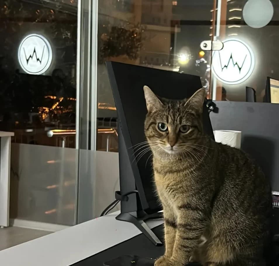 Webreta çalışma tarzı